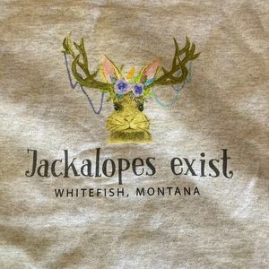 Graphic T-shirt. Montana. Size M Heather grey